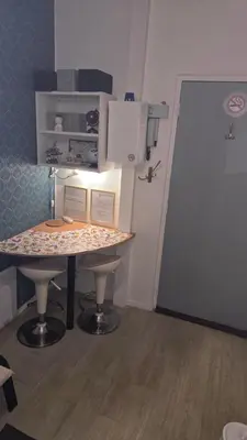 Cuisine ou kitchenette dans l'établissement Petit Appartement Nantais