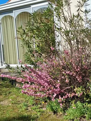 Jardin de l'établissement Maison Familiale 6 pers - Orouët