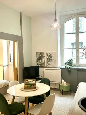 Télévision ou salle de divertissement dans l'établissement Au Coeur de Nantes - idealement situé Studio tout confort avec chambre separée