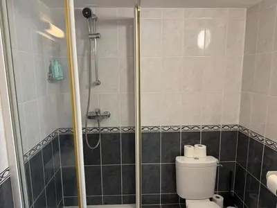 Salle de bains dans l'établissement Bienvenue dans la jungle - Proche Parc et Commodités & Wifi