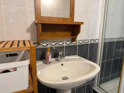 Salle de bains dans l'établissement Bienvenue dans la jungle - Proche Parc et Commodités & Wifi