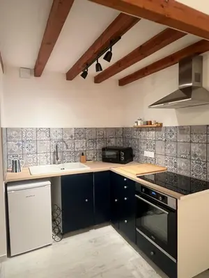 Cuisine ou kitchenette dans l'établissement Appartement au cœur du centre ville