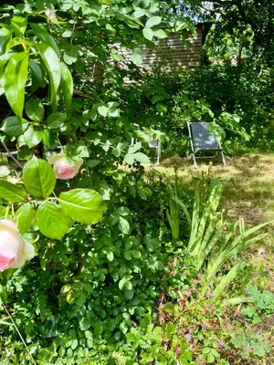 Jardin de l'établissement Le Logis de Bouchet