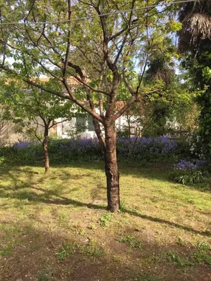 Jardin de l'établissement Résidence agréable proche de la mer