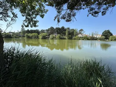 Vue sur la rivière ou le fleuve situé(e) à proximité de l'appartement