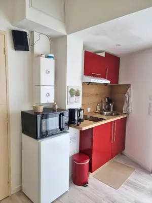 Cuisine ou kitchenette dans l'établissement Le Petit Brevin