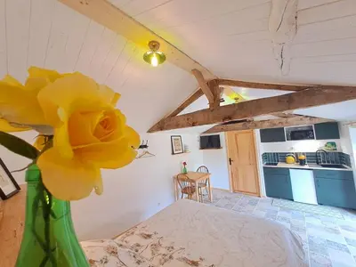 Cuisine ou kitchenette dans l'établissement studio voulmentin
