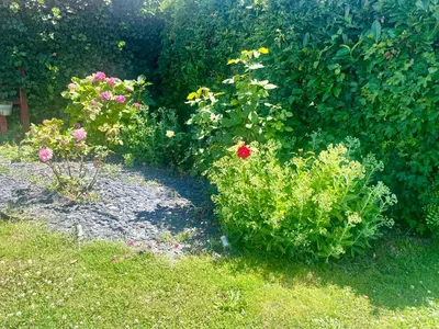 Jardin de l'établissement logement insolite KOTA