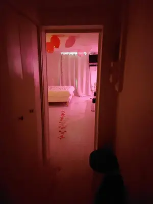 Un ou plusieurs lits dans un hébergement de l'établissement les delices rooms-loveroom white