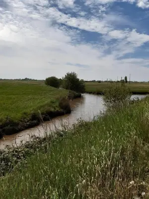 Plan de l'établissement Paisible appartement à deux pas de la Plage