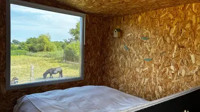 Animaux dans le lodge ou à proximité