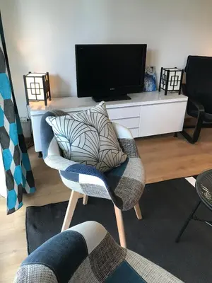 Télévision ou salle de divertissement dans l'établissement Nantes appartement plain pied proche Beaujoire