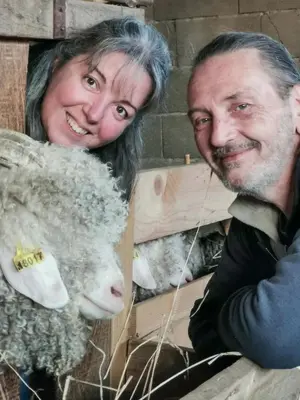 Animaux dans le camping ou à proximité