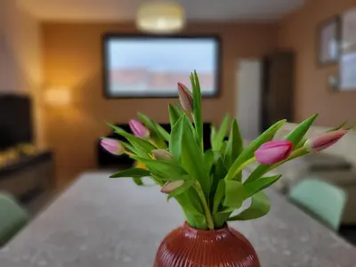 Un ou plusieurs lits dans un hébergement de l'établissement Gîte l'AUBEPINE, Les Herbiers centre