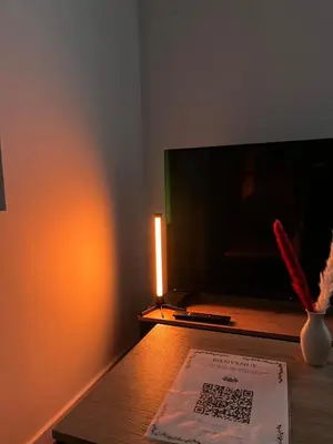 Télévision ou salle de divertissement dans l'établissement Cozy garden house