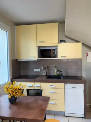 Cuisine ou kitchenette dans l'établissement L'Air Marin
