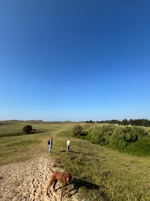 Clients de l'établissement L'Air Marin