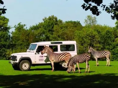 Animaux dans la maison de vacances ou à proximité