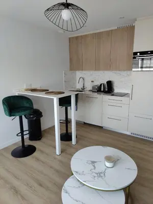 Cuisine ou kitchenette dans l'établissement Appartement proche plage et centre-ville