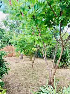 Jardin de l'établissement Comme une Douce Parenthèse