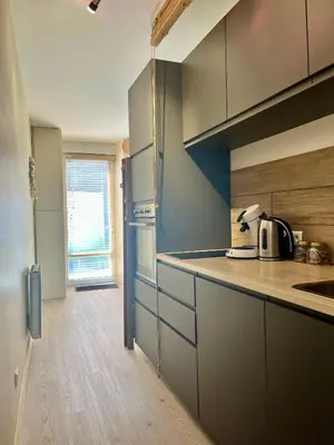 Cuisine ou kitchenette dans l'établissement Entre Nantes et Sèvre charmant T1 à 3 mn du Busway