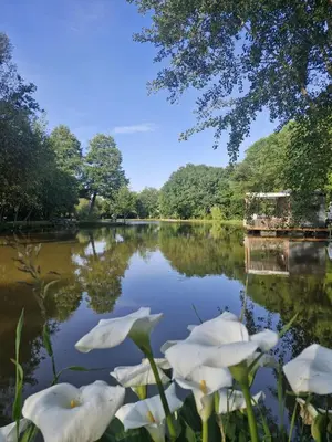 Paysage naturel près de le bateau