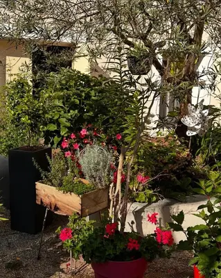 Jardin de l'établissement La casa d'Iza