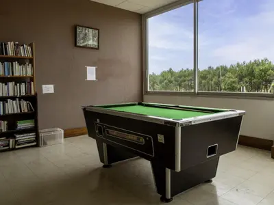 Billard dans l'établissement Studio Mer & Soleil-3 by Interhome