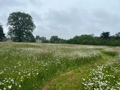 Paysage naturel près de la maison d'hôtes