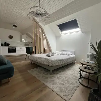 Appartement cœur de ville - Angers
