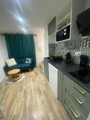 Cuisine ou kitchenette dans l'établissement Appartement - Angers