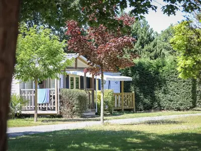 Jardin de l'établissement Mobil home avec terrasse pour 4 personnes - API-1-52-649