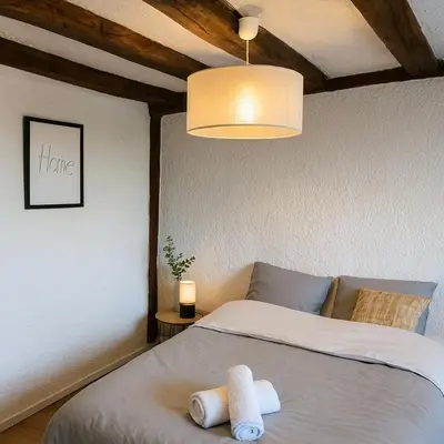 Un ou plusieurs lits dans un hébergement de l'établissement Logement historique - Maison David d Angers