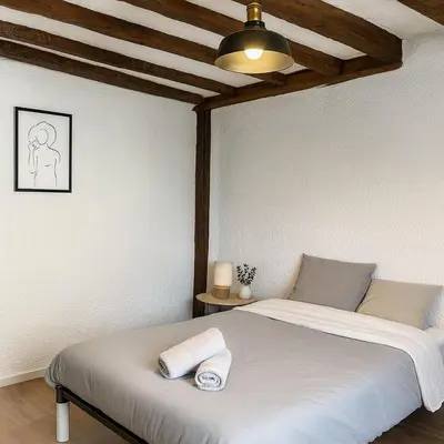 Un ou plusieurs lits dans un hébergement de l'établissement Logement historique - Maison David d Angers