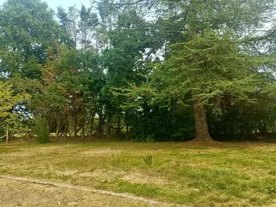 Paysage naturel près de l'appartement