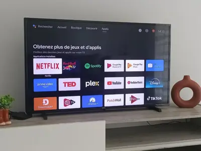 Télévision ou salle de divertissement dans l'établissement T1 cosy avec jardin à 7 min de l'aéroport, proche de Nantes