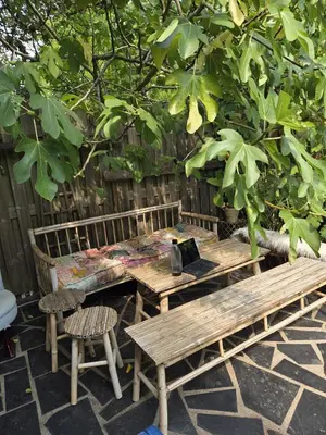 Jardin de l'établissement MAISON FAMILIALE 4 CHAMBRE PISCINE 5mn DU CENTRE VILLE