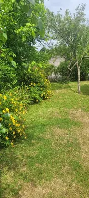 Jardin de l'établissement La maison de Sophie