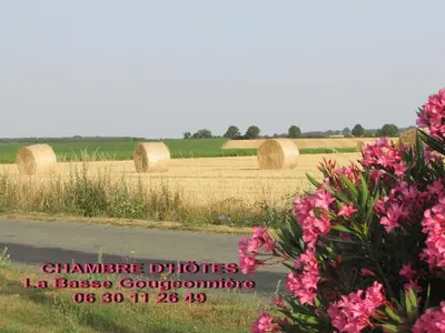 Paysage naturel près de le B&B/chambre d'hôtes