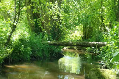Paysage naturel près de la maison de vacances