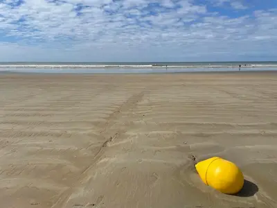 Plage de l'appartement ou située à proximité