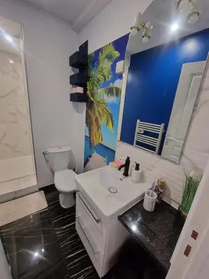 Salle de bains dans l'établissement Appart RDC spacieux