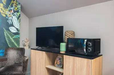 Télévision ou salle de divertissement dans l'établissement Résidence Saint-Louis - Appart'Hôtel tout-équipé