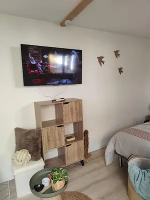 Télévision ou salle de divertissement dans l'établissement gîte L'hirondelle
