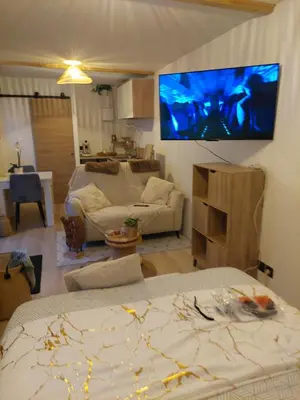 Télévision ou salle de divertissement dans l'établissement gîte L'hirondelle