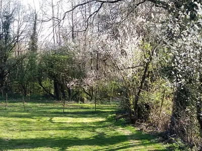 Jardin de l'établissement le jouc