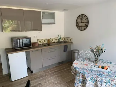 Cuisine ou kitchenette dans l'établissement Logement T2 et Véritable écrin de verdure en ville