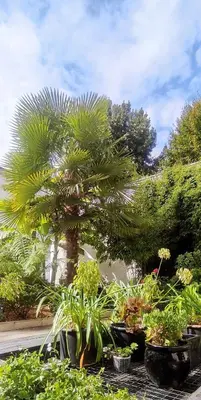 Jardin de l'établissement Chambre avec entrée Privée au calme, quartier Talensac
