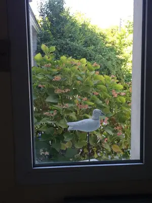 Plan de l'établissement Gîte La Terrasse Du Verger