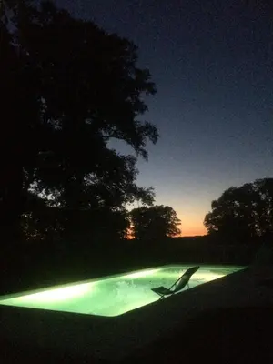 Piscine de l'établissement Chateau De Piedouault ou située à proximité